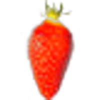 Gariguette Strawberry