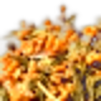 Genmaicha