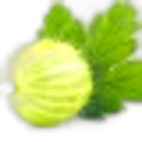 Gooseberry