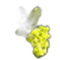 grapeflower