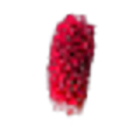 Great Burnet
