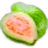 Guava