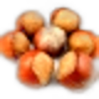 Hazelnut