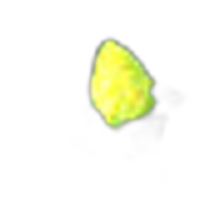 Honeydew Blossom