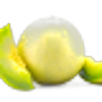Honeydew Melon