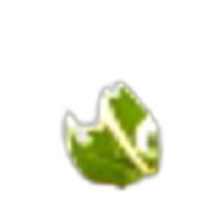 Honeysuckle