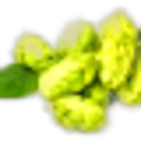 Hops