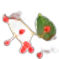 Japanese pepper