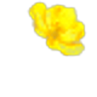 Jarana Flower