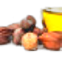 Jojoba