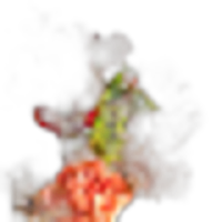 Karmaflor®