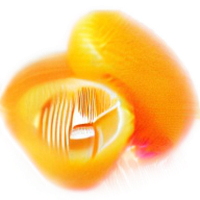 Kumquat