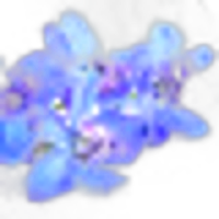 Larkspur