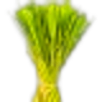 Lemongrass