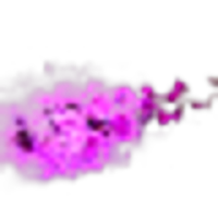 Liatrix