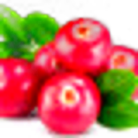 Lingonberry
