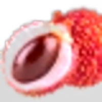 Litchi