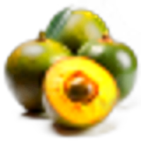 Lucuma