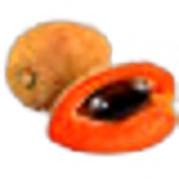 Mamey
