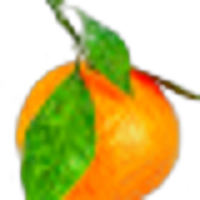 Mandarin Orange