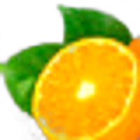 Mandora