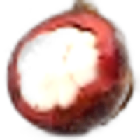 Mangosteen