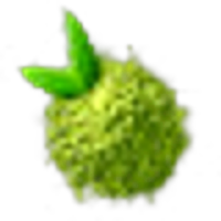 Matcha Tea