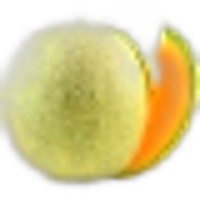 Melon