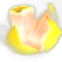Methyl Pamplemousse