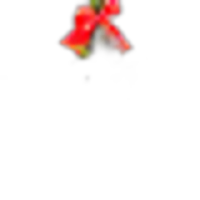 Mistletoe