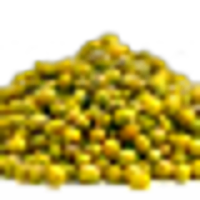 Mung Bean