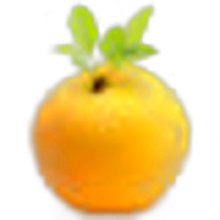 Nashi Pear