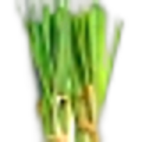 Palmarosa
