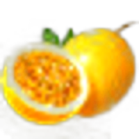 Passionfruit