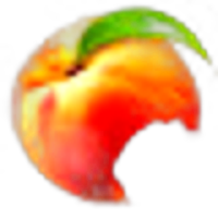 Peach Cream