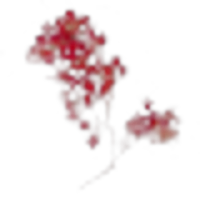 Peppertree