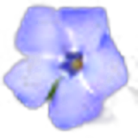 Periwinkle