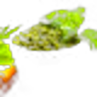 Pesto