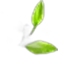 Petitgrain
