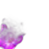 Phlox