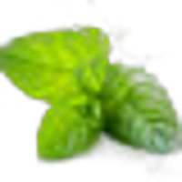 Physcool®