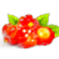 Pitanga