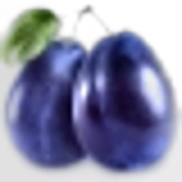 Plum