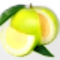 Pomelo