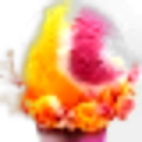 Rainbow Sorbet