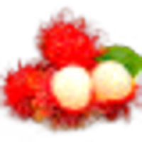 Rambutan