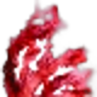 Red Algae