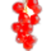 Red Currant