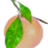 Red Mandarin