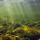 River Notes